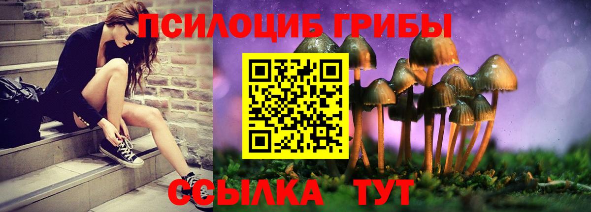 Батайск  наркота  Вход с VPN  Псилоцибиновые грибы мухоморы 